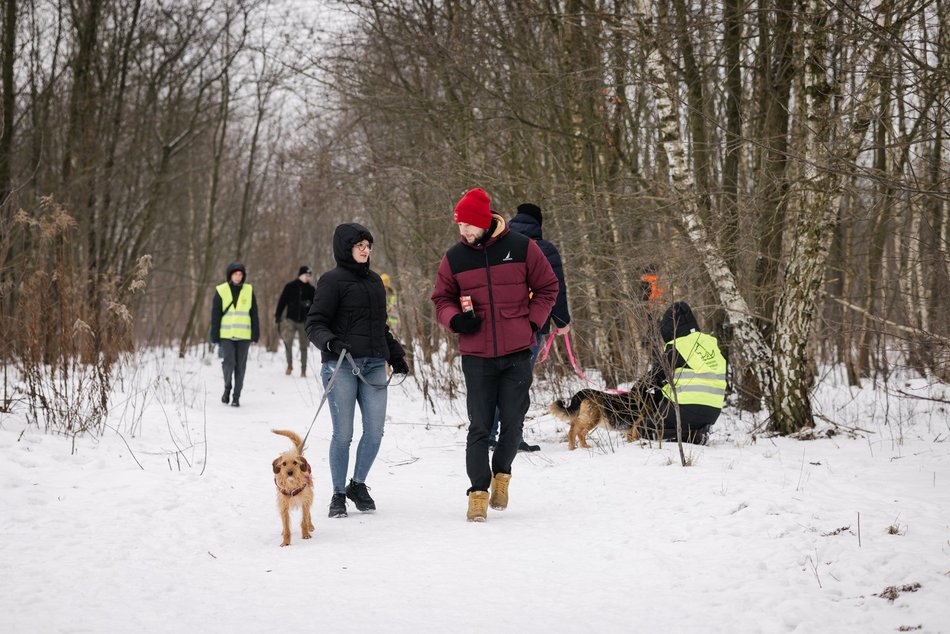 Łódź. Psy ze schroniska w Łodzi znów na spacerze! Dla tych wesołych pyszczków aż chce się chodzić!