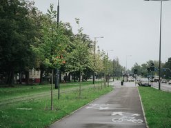 Łódź. Kilkaset nowych drzew przy Wojska Polskiego w Łodzi. Ulica zmienia się w zielony trakt