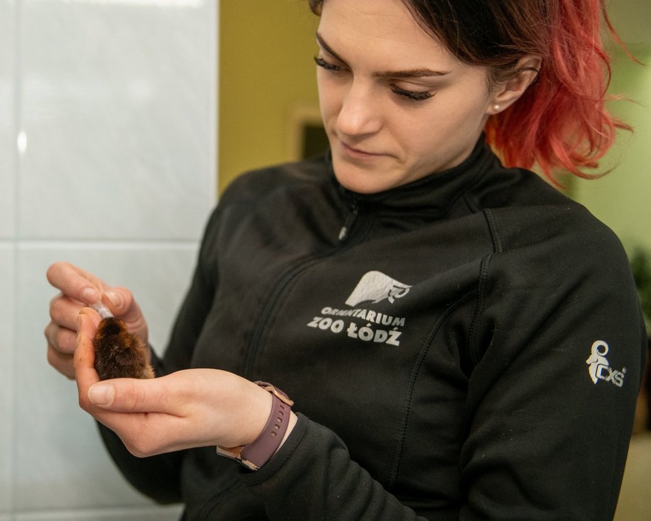 Opiekunka zwierząt z Orientarium Zoo Łódź