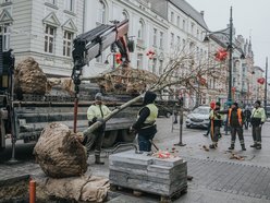 Łódź. Zielona metamorfoza Piotrkowskiej!