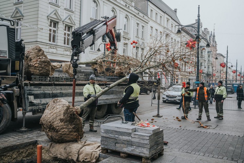 Łódź. Zielona metamorfoza Piotrkowskiej!