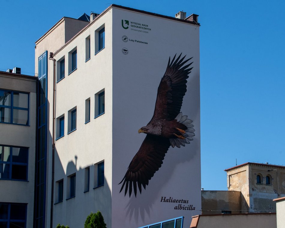 Nowy mural bielik w centrum Łodzi