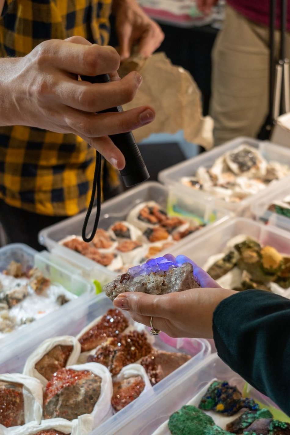 Festiwal Minerałów i Biżuterii w EC1 Łódź