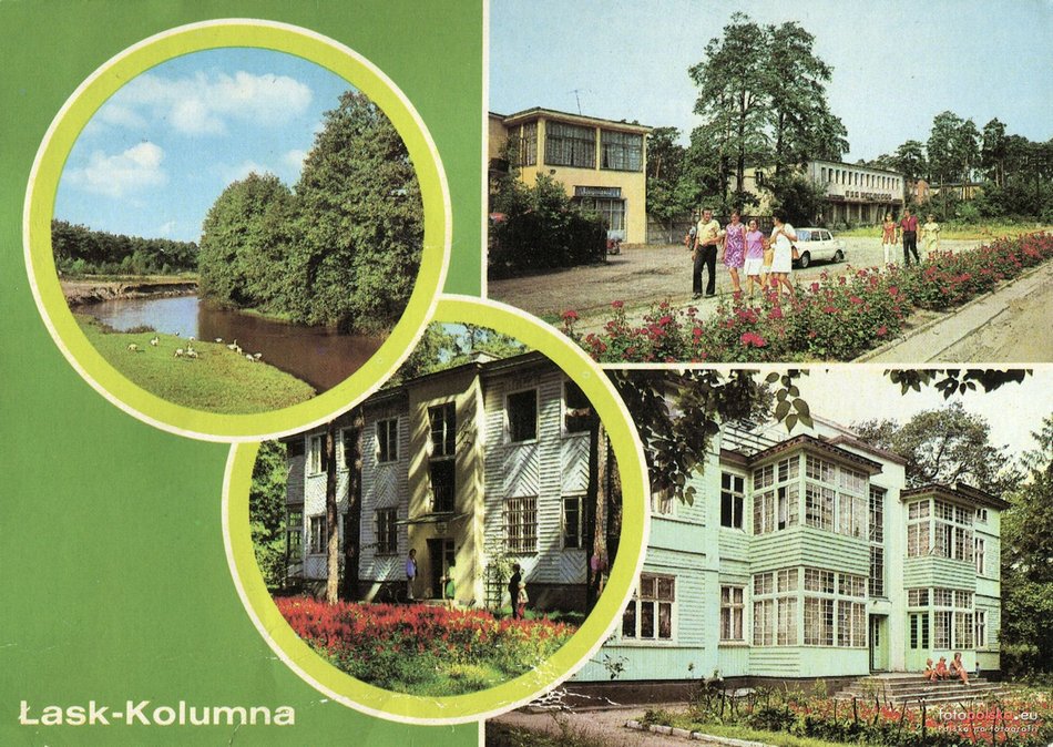 Kolumna Las - pocztówka