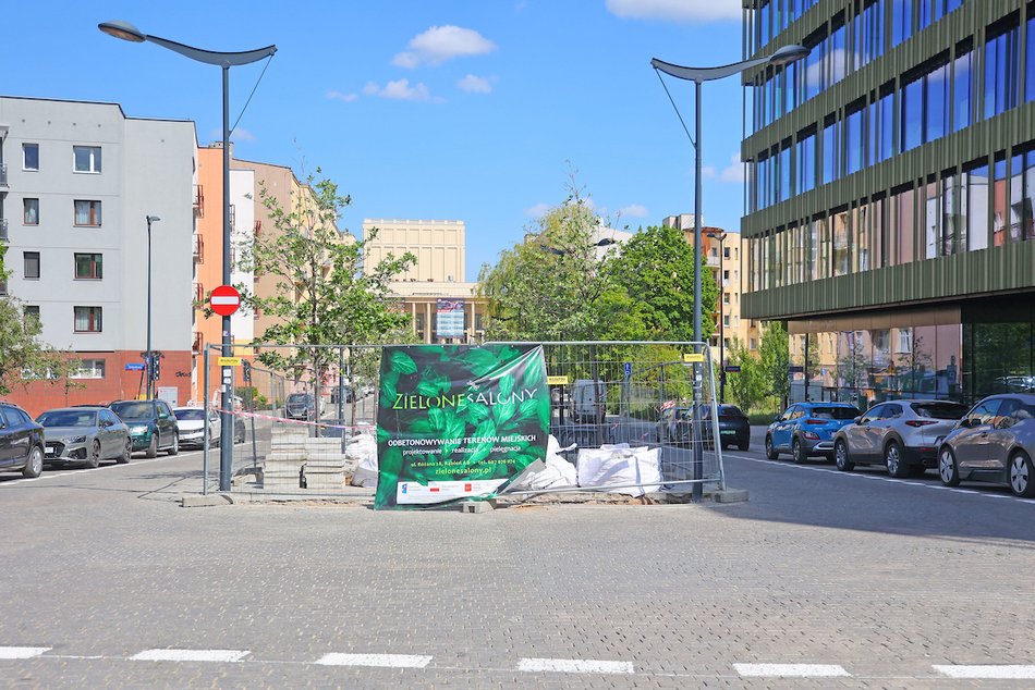 Łódź. Więcej zieleni w centrum! Zamiast betonu będą kolorowe byliny, krzewy i piękne rabaty