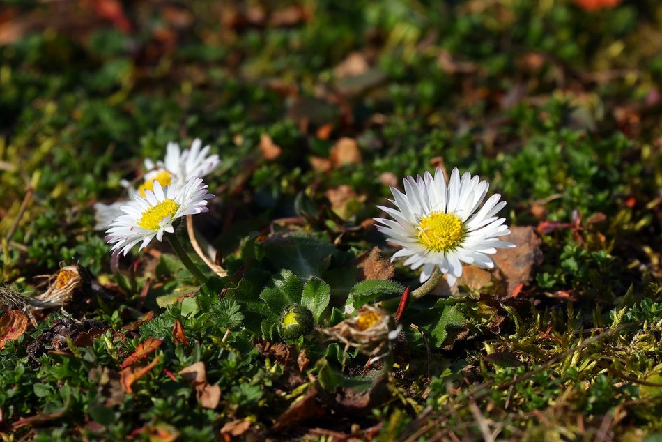 Łódź. Łódź budzi się do życia! Łodzianie i turyści tłumnie korzystają z pierwszych dni wiosny
