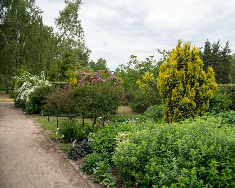 Ogród Fabrykanta w Ogrodzie Botanicznym w Łodzi