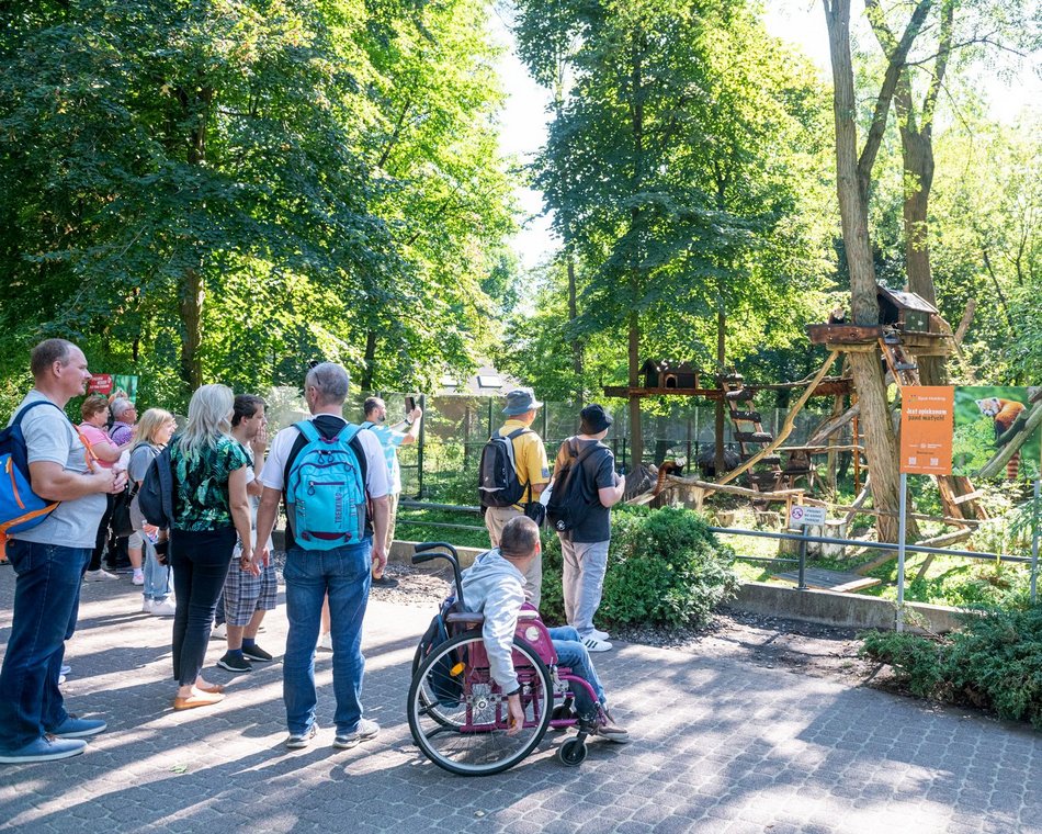 Dzień pandy małej w Orientarium Zoo Łódź