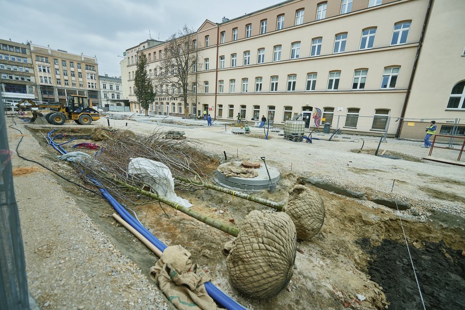 Pasaż Schillera będzie zielony!