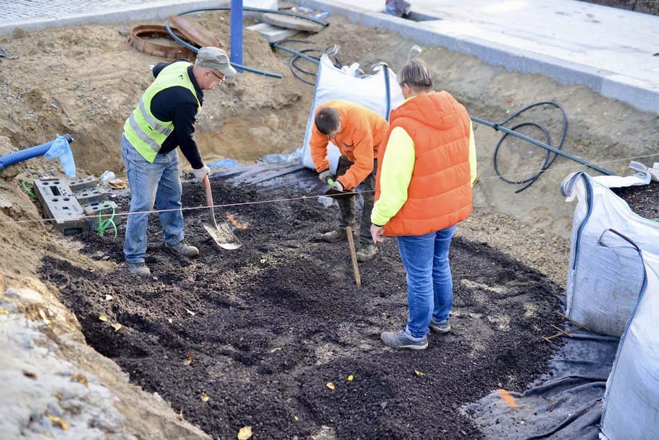 Plac Wolności coraz bardziej zielony