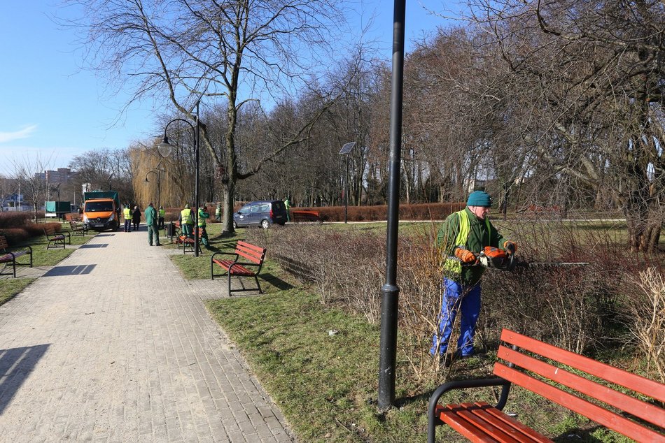 Prace porządkowe przy zieleni
