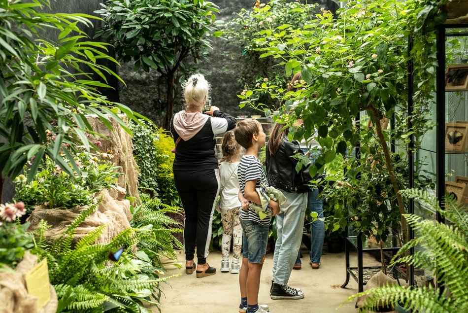 Palmiarnia w Łodzi przechodzi na tryb zimowy. Zmiana godzin otwarcia