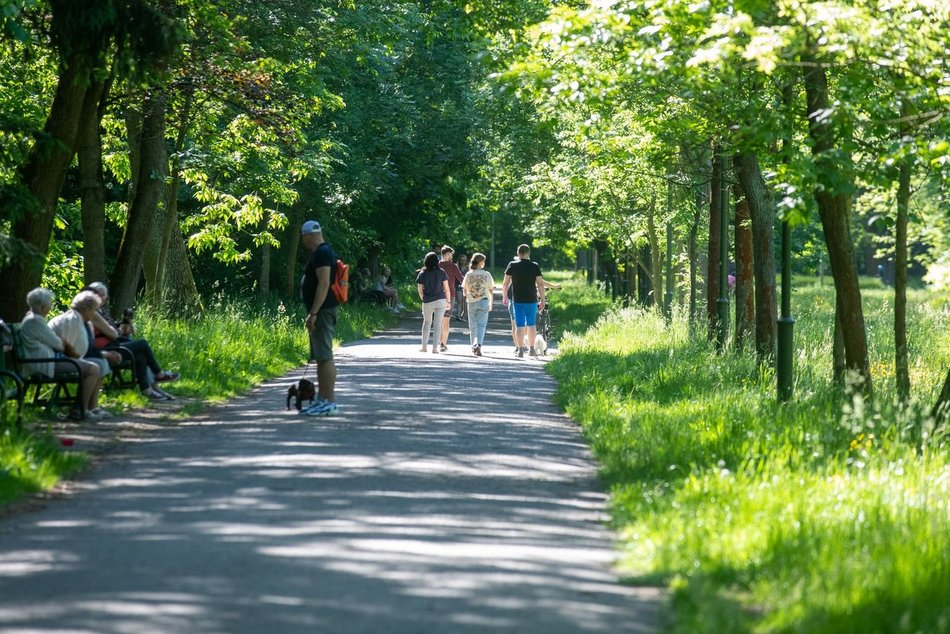 Pomysły na szybkie wycieczki rowerowe wokół Łodzi
