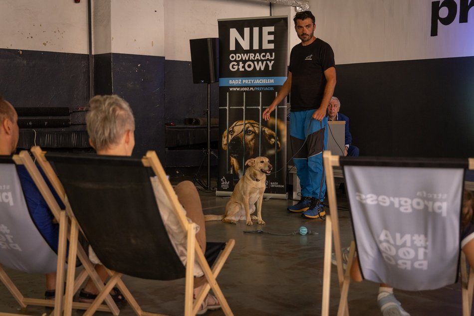 Łódź. Gastro dla schroniska w Łodzi. Tak się łączy miłość do jedzenia, muzyki i zwierząt!