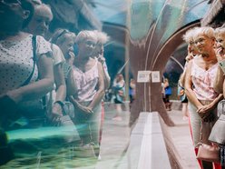 Łódź. Darmowe wejście do Orientarium Zoo Łódź dla seniorów. Nawet trzy wizyty rocznie!