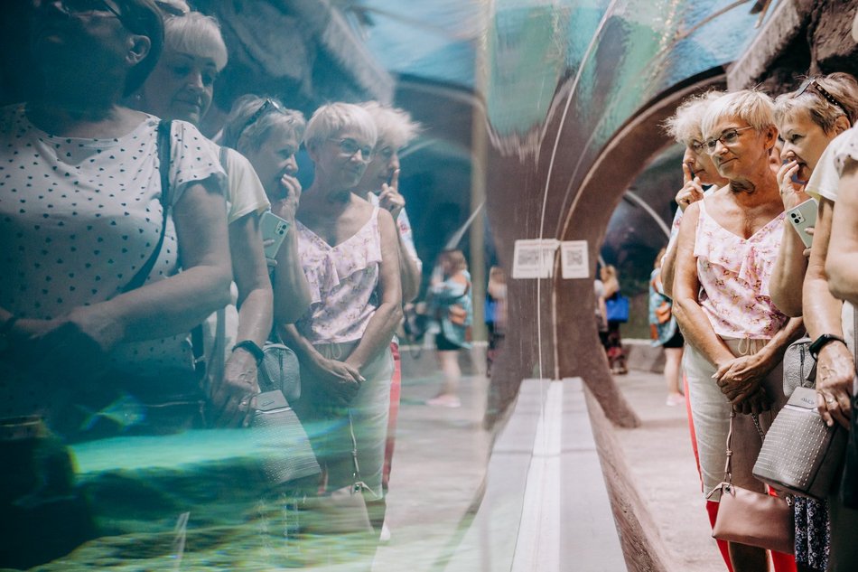 Łódź. Darmowe wejście do Orientarium Zoo Łódź dla seniorów. Nawet trzy wizyty rocznie!