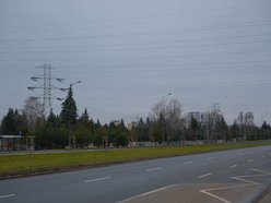 Łódź. Nasadzenia na ul. Puszkina w Łodzi