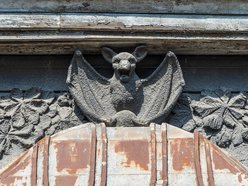 Łódź. Spacer śladami zwierząt na zabytkach w Łodzi. Dowiedz się więcej o ich historii