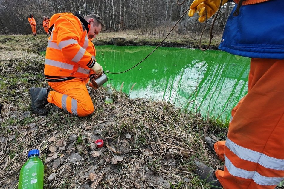 Skandal nad Olechówką! Zanieczyścili rzekę i już zostali złapani