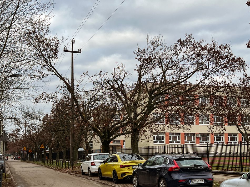 Ulica Socjalna. Drzewa zniszczone przez PGE