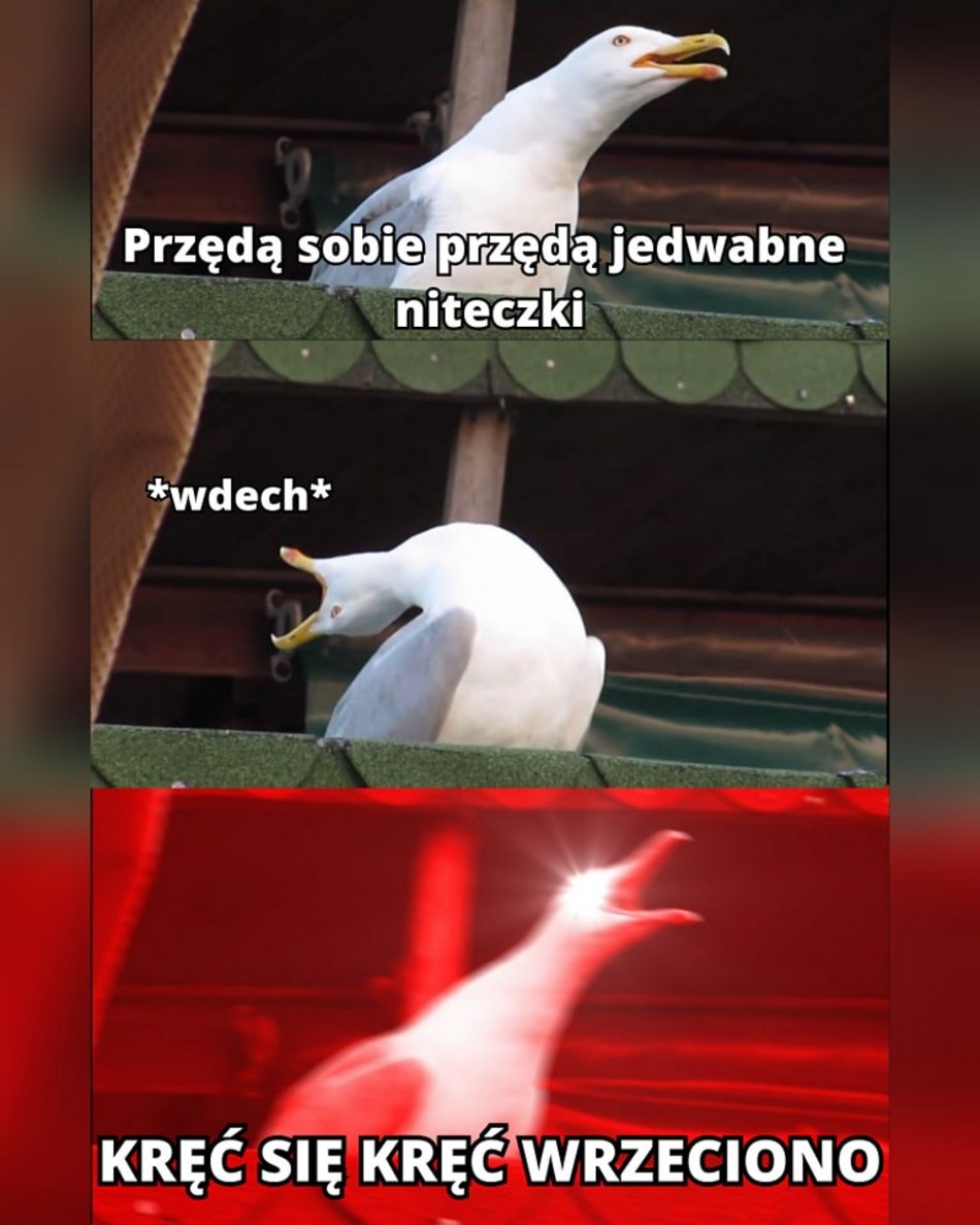 mem o łodzi