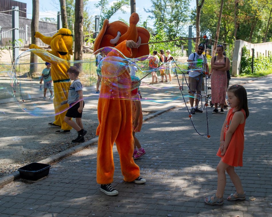 Łódzkie olbrzymy świętują! Dzień Słonia w Orientarium Zoo Łódź