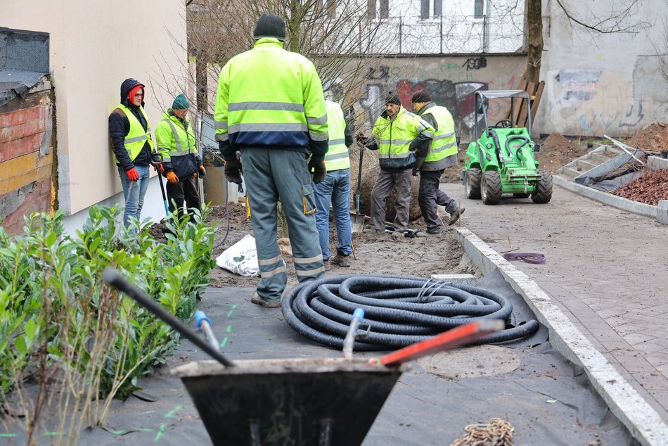 Sadzenie drzew i krzewów przy ul. Legionów