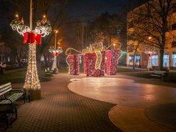 Świąteczna iluminacja na Kozinach w Łodzi