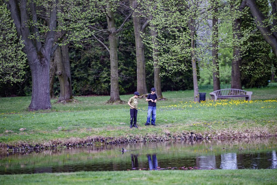 Morze tulipanów w Ogrodzie Botanicznym w Łodzi. Nie możesz tego przegapić