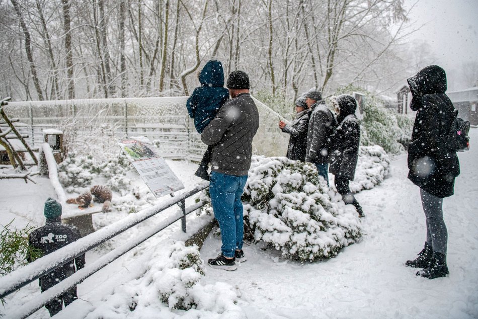 Łódź. Orientarium Zoo Łódź z nominacją w plebiscycie „Zimowe Gwiazdy Travelist 2026”. Oddaj swój głos!