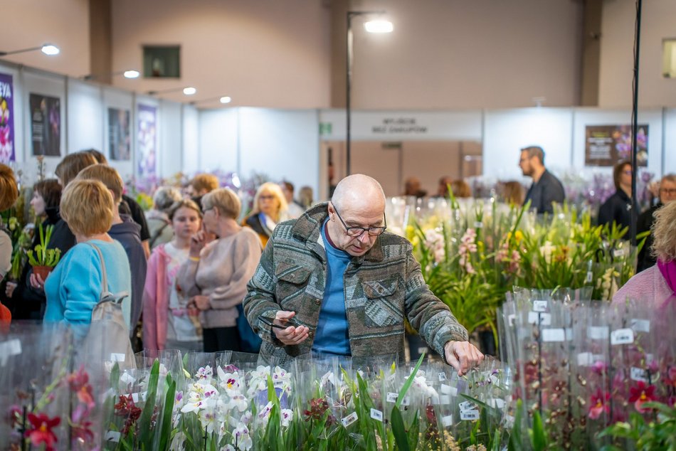 Łódź. World Flower Show w hali Expo Łódź. Przyjdź i zobacz orchidee, drzewa bonsai i sukulenty