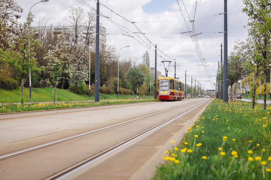 Łódź. Zielona trasa W-Z w Łodzi. Ponad 2 tysiące drzew kwitnie od Retkini po Olechów!