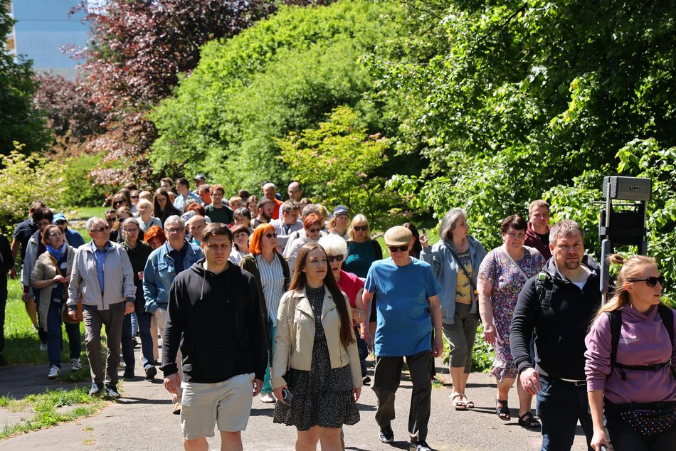 Ogród Botaniczny w Łodzi. Kwitnące rośliny