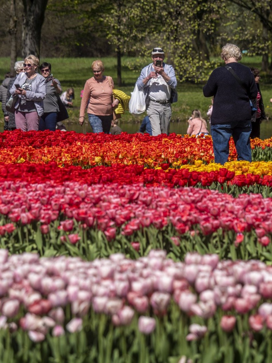 Ogród Botaniczny w Łodzi. Łodzianie na wyjątkowych zdjęciach z okazji 600. Urodzin! [ZDJĘCIA]