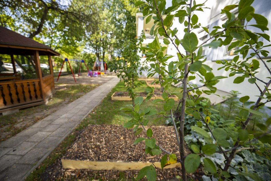 Ogródki owocowo-warzywne przy domach dziecka w Łodzi