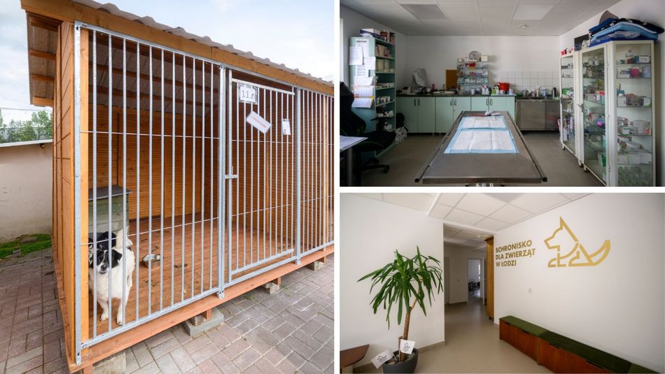 Schronisko w Łodzi świętuje koniec remontu! I zaczyna współpracę m.in. z Widzewem Łódź