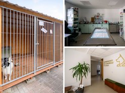 Schronisko w Łodzi świętuje koniec remontu! I zaczyna współpracę m.in. z Widzewem Łódź