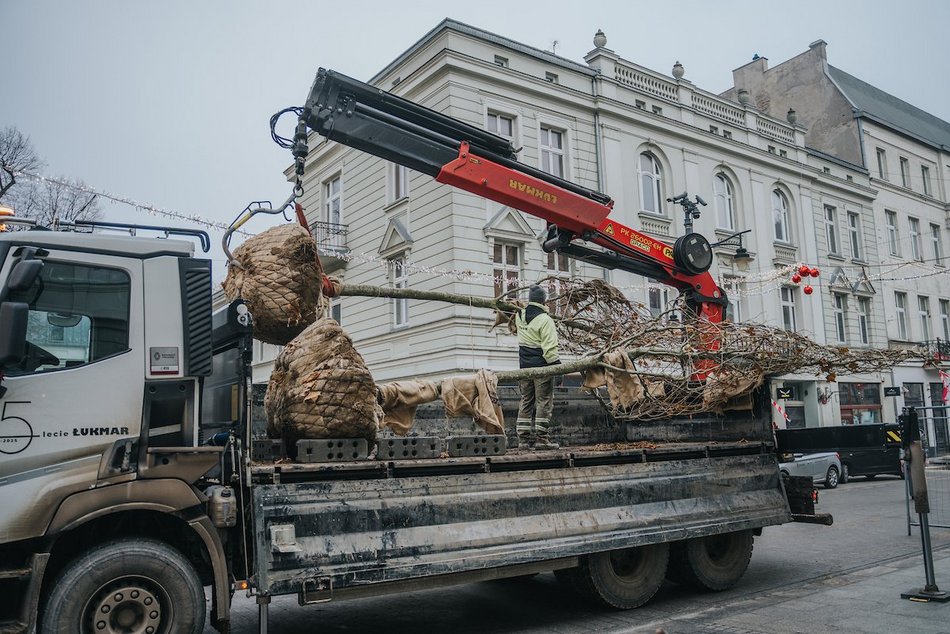 Łódź. Zielona metamorfoza Piotrkowskiej!