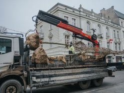 Łódź. Zielona metamorfoza Piotrkowskiej!