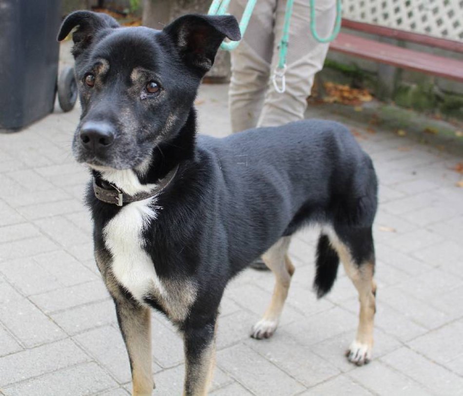 Łódź. Postanowienia noworoczne na 2026 rok?