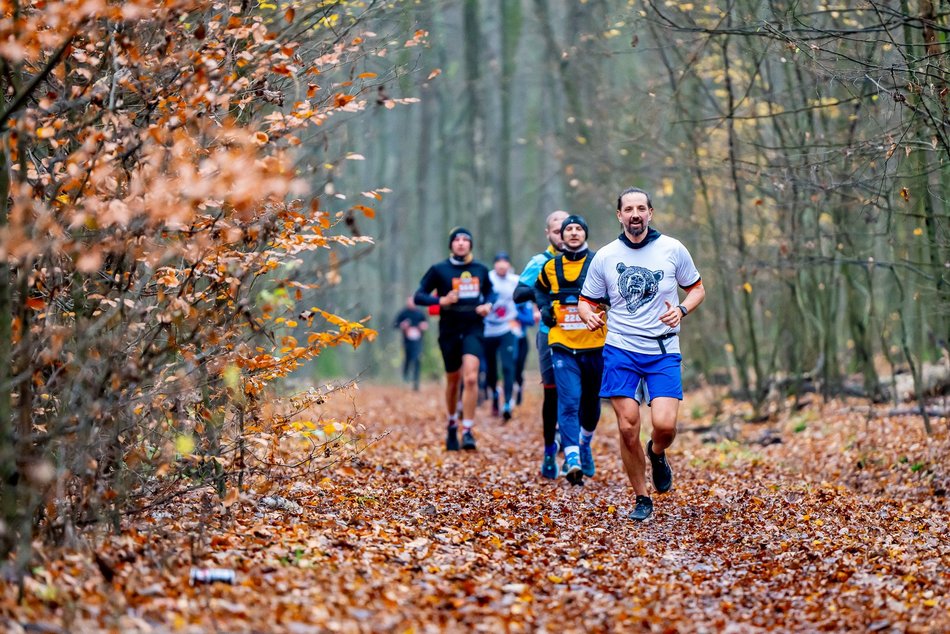 Cookie Run w Lesie Łagiewnickim w Łodzi