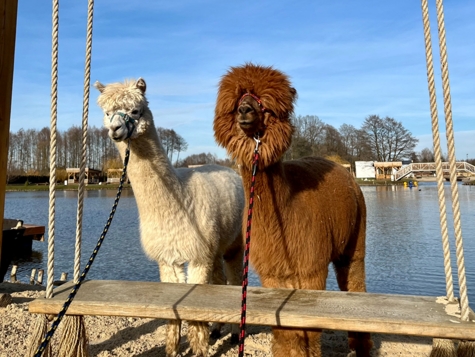 Łódź. Dobronianka (ul. Gliniana 4D, Dobroń)