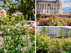 Łódź. Wrzesień w Łodzi potrafi zaskoczyć! Miasto wciąż tętni kolorami i zapachem kwiatów
