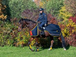 Łódź. Budżet Obywatelski Łódź 2025. Od konia Tadka po place zabaw – tak wspólnie zmieniliśmy Łódź!