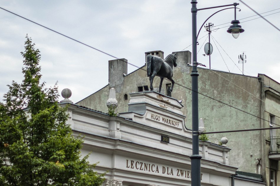 Łódź. „Lecznica pod koniem" na sprzedaż!