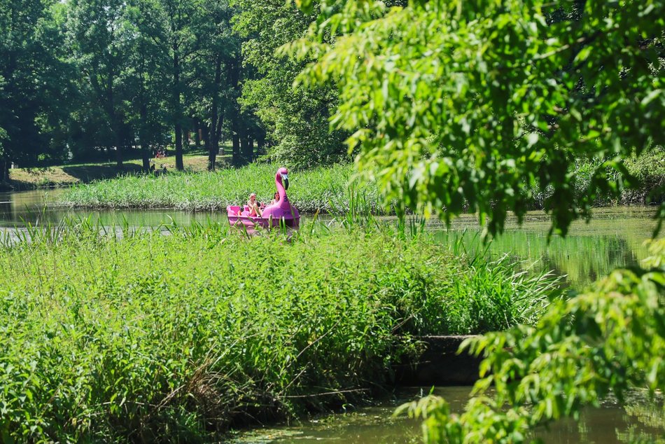Łódź. Park na Młynku w Łodzi