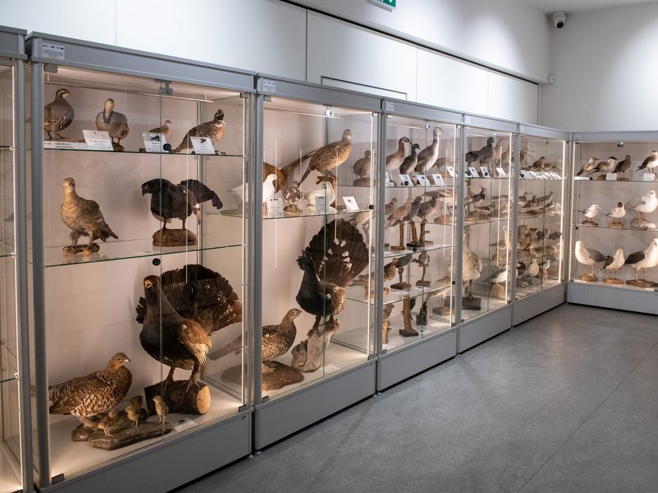 Łódź. Odkryj Muzeum Przyrodnicze w Łodzi. To niezwykły świat zwierząt, dinozaurów, tajemnic natury i przygód!