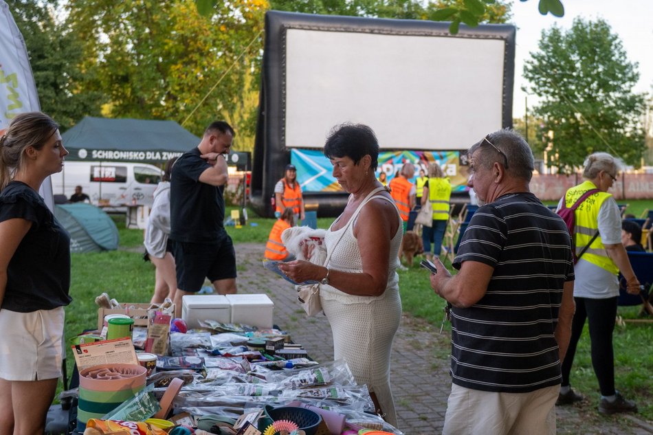 Łódź. Ostatni Psia Polówka w Łodzi za nami. Nic słodszego dziś nie zobaczysz!