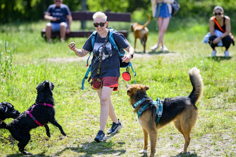 Łódź. Psiejski spacer na Uroczysku Lublinek w Łodzi. Kolejna odsłona wyjątkowej inicjatywy
