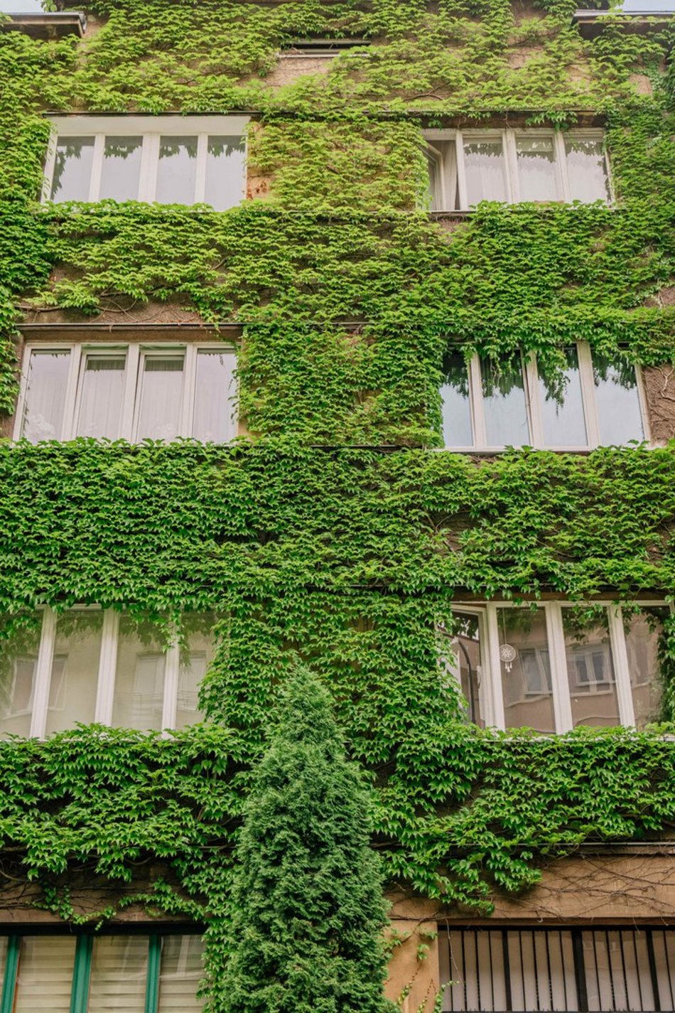 Łódź. To najbardziej zielona kamienica w Łodzi. Ten widok zapiera dech!